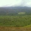 Lembah Perkebunan Sawit