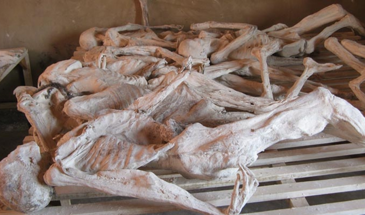 Genosida di Rwanda - Arah Juang